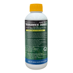 SAN-DIỆT CỎ MẦM